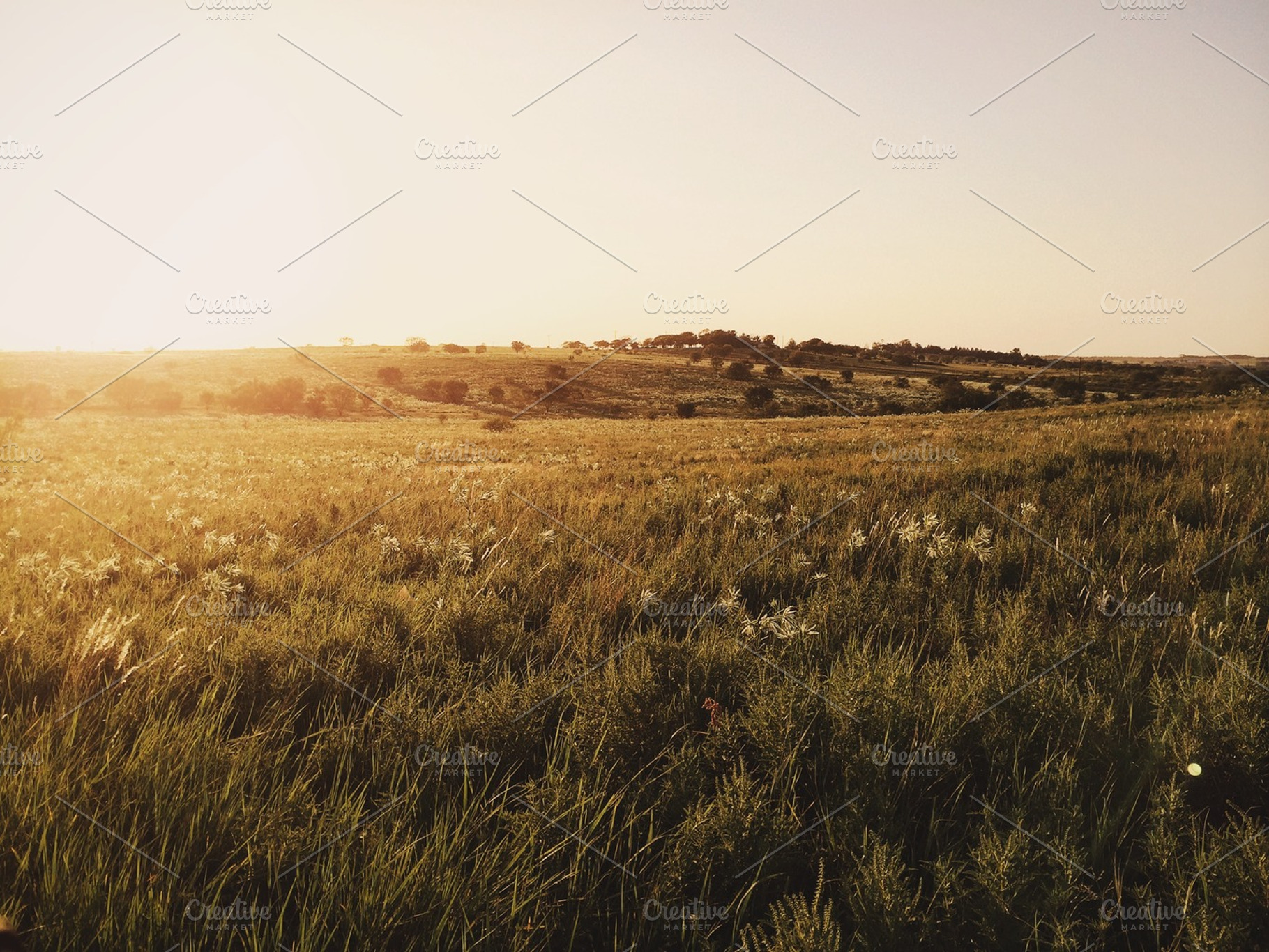 Sunset over an open field featuring sunset, golden, and hour