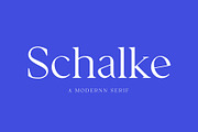 SALE! Schalke - Modernn Serif, a Serif Font by Emtheen Std. (Thumbnail 1 of 6)