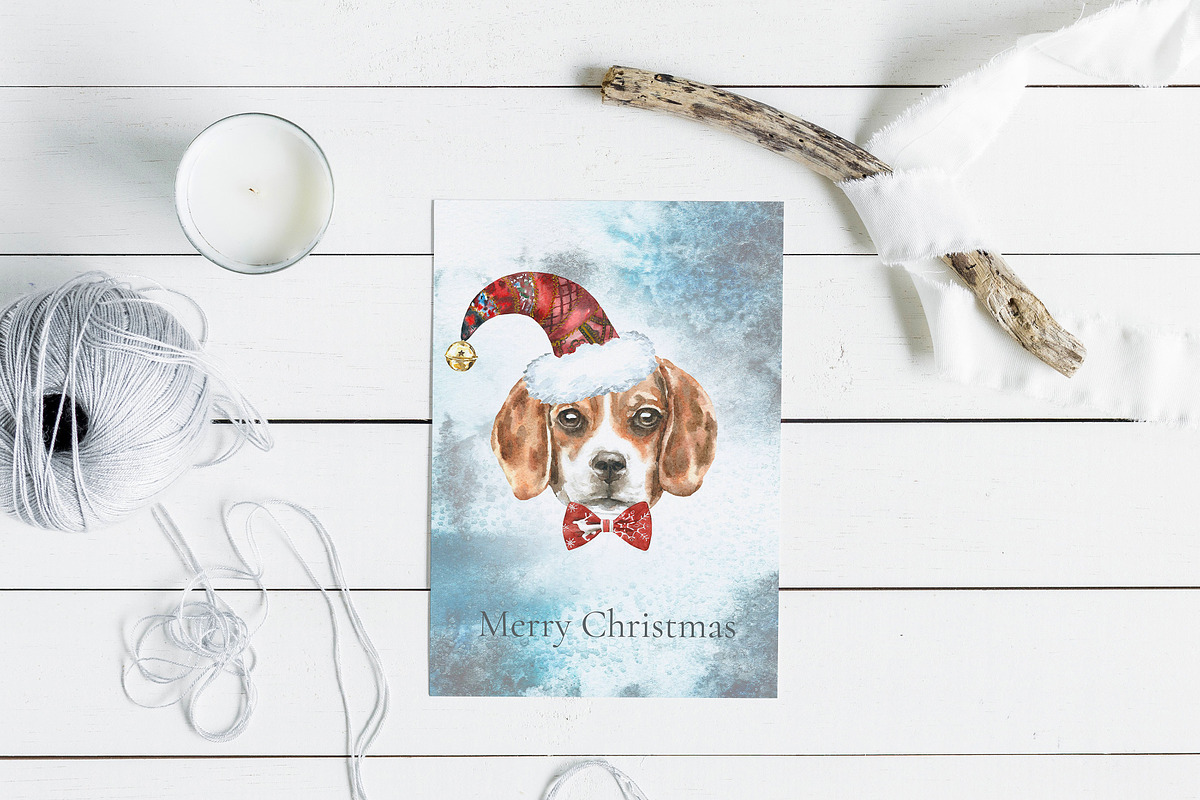 Christmas Character Dogs & Cats, an Animal Illustration by Catherine Wheel (Photo 15 of 23)