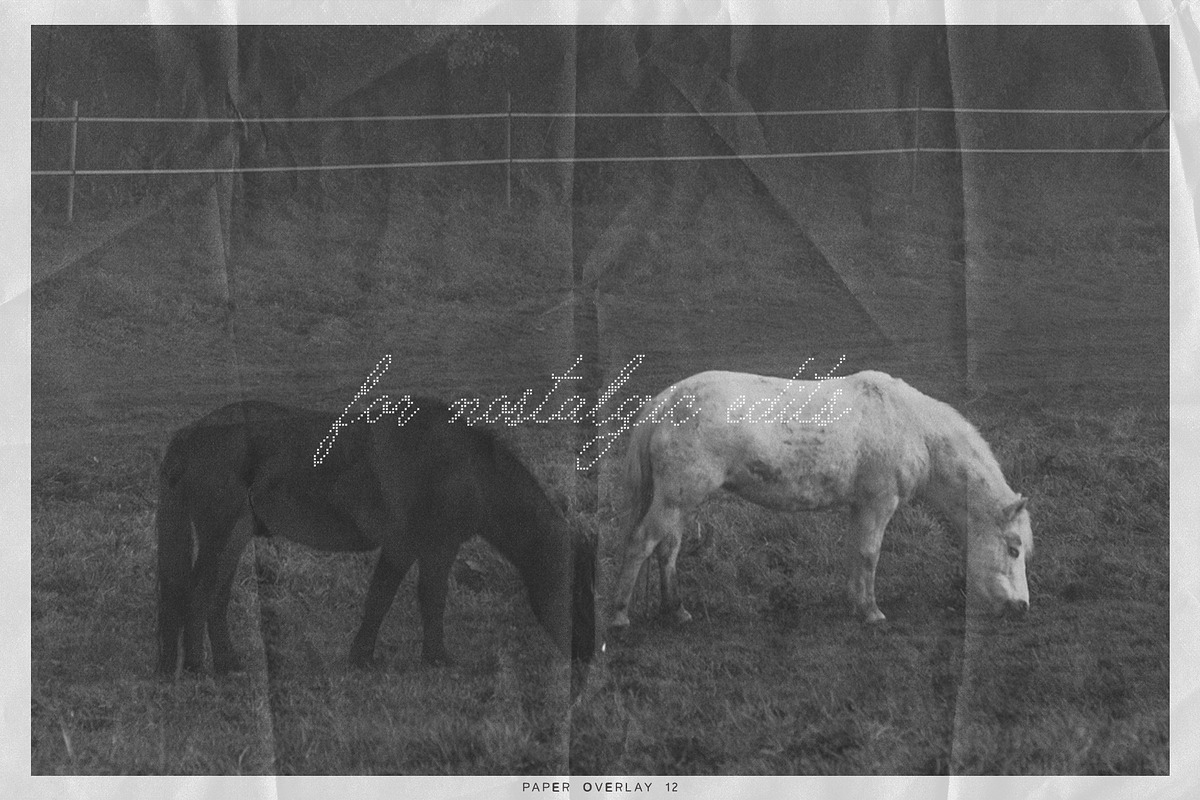 Paper Overlay Archive Shaped Edition, a Texture Graphic by lerinartstudio (Photo 6 of 11)
