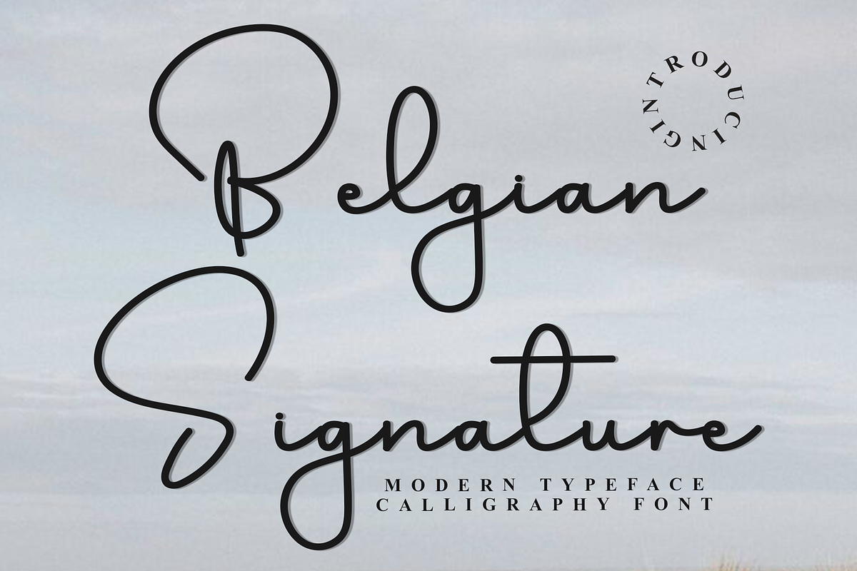 Belgian Signature, a Handwritten Font by FreshTypeINK (Photo 1 of 8)