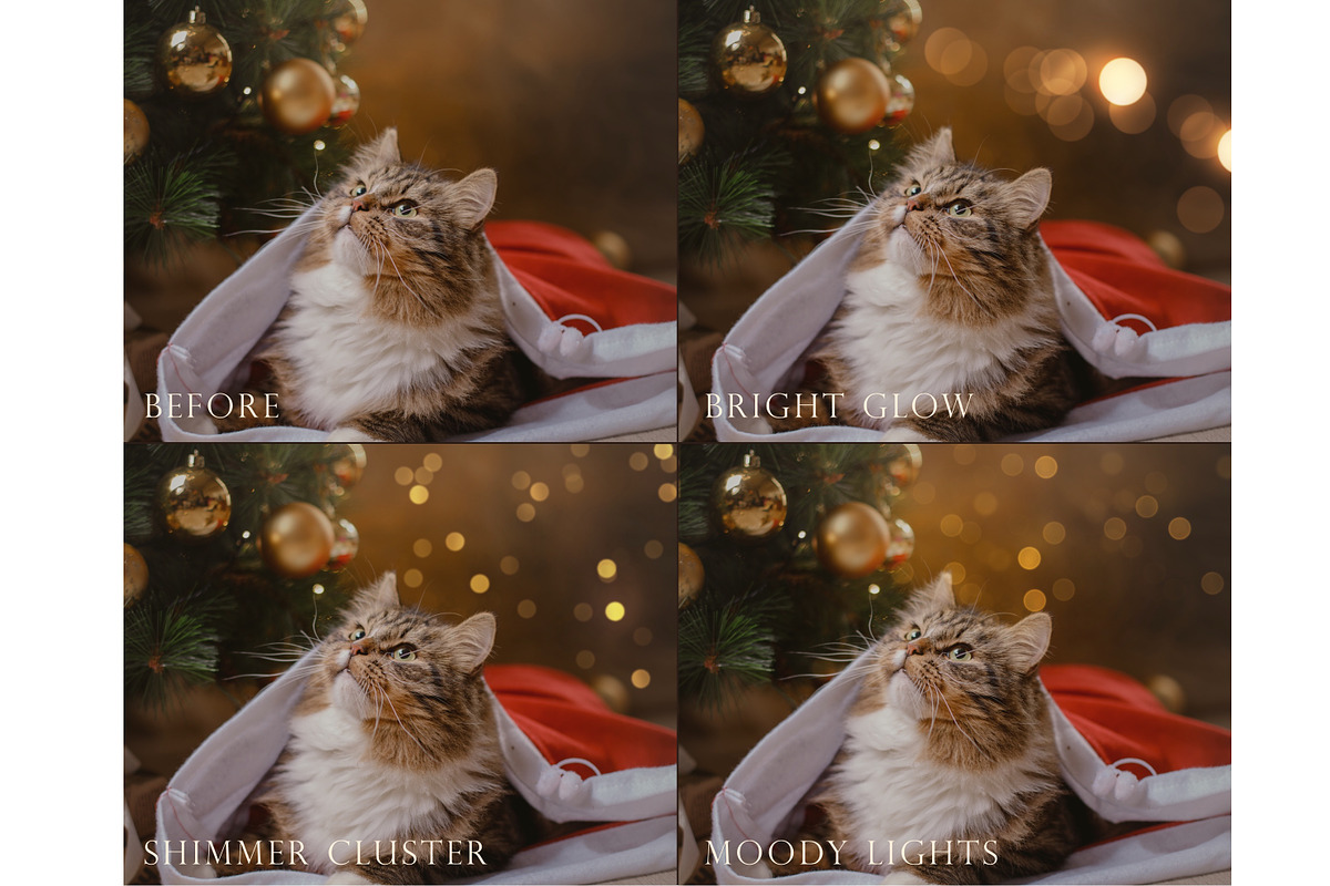 Simple bokeh photoshop overlays, an Object Graphic by Paper Farms (Photo 2 of 7)