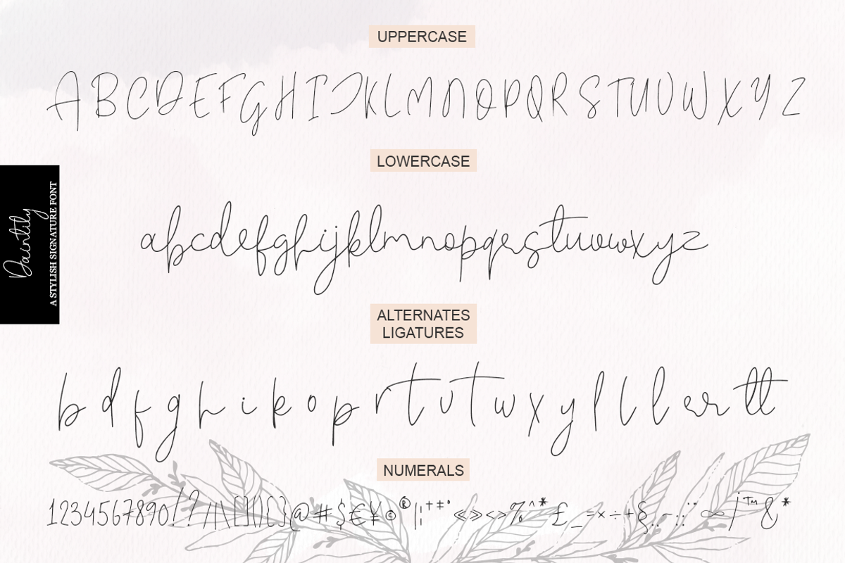 Daintily, a Script Font by Larin Type Co. (Photo 10 of 10)