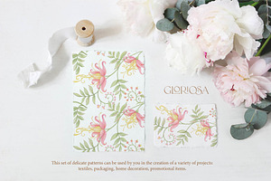 Gloriosa Seamless Patterns & Element