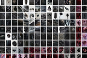 Dark Floral & Mineral Stock Photos, a Nature Photo by Tale.Haus (Thumbnail 13 of 17)