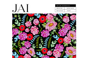 JAI Collection, a Decorative Illustration by Dana Designs (Thumbnail 11 of 14)