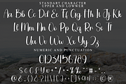 Billing, a Script Font by FreshTypeINK (Thumbnail 4 of 7)
