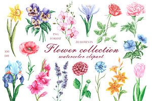 Blooming flowers watercolor clipart., an Illustration by SabinaWatercolorArt