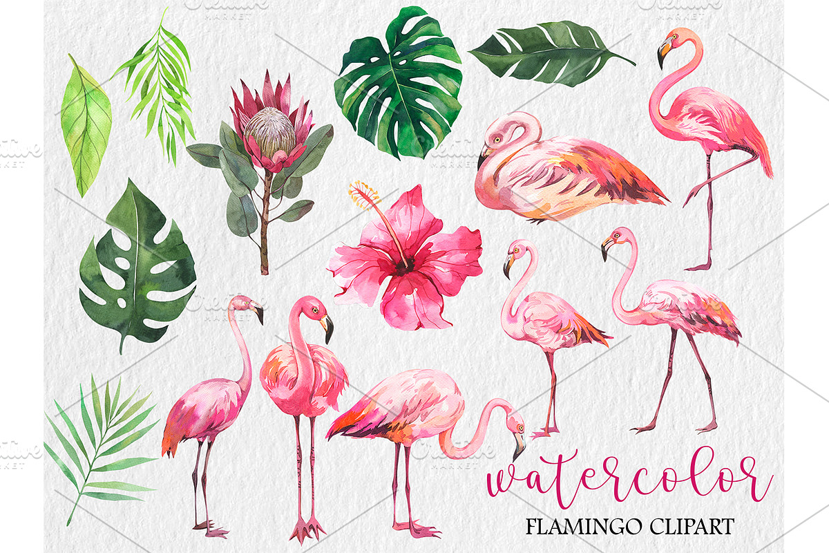 Watercolor Flamingo Clipart, Pink, an Animal Illustration by PatternPalette (Photo 2 of 2)