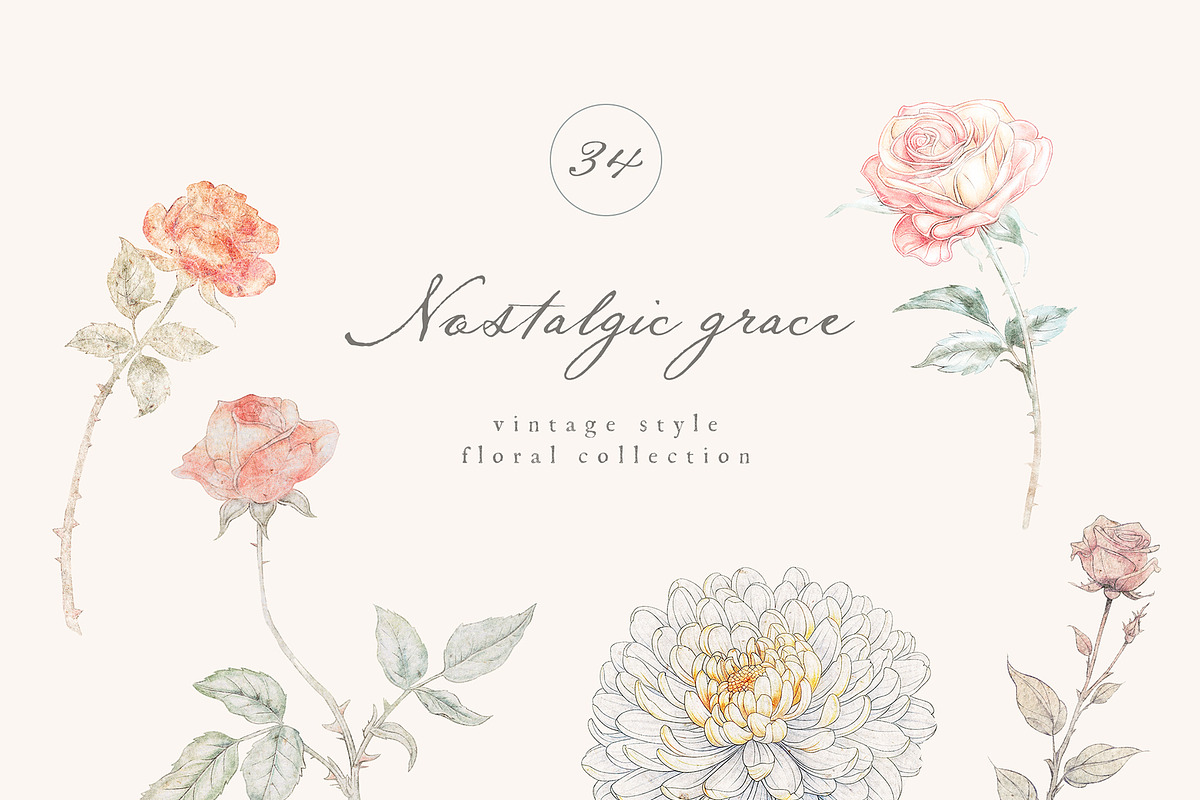 Vintage Floral Bundle, an Object Illustration by studioequinox (Photo 56 of 65)