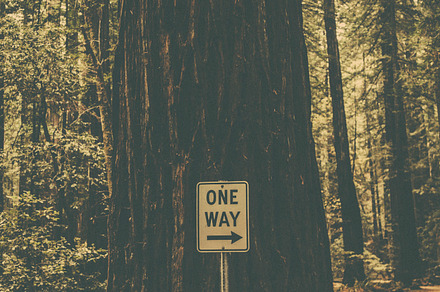 Arrow On The Pavement Featuring Road Sign And One Way preview 5