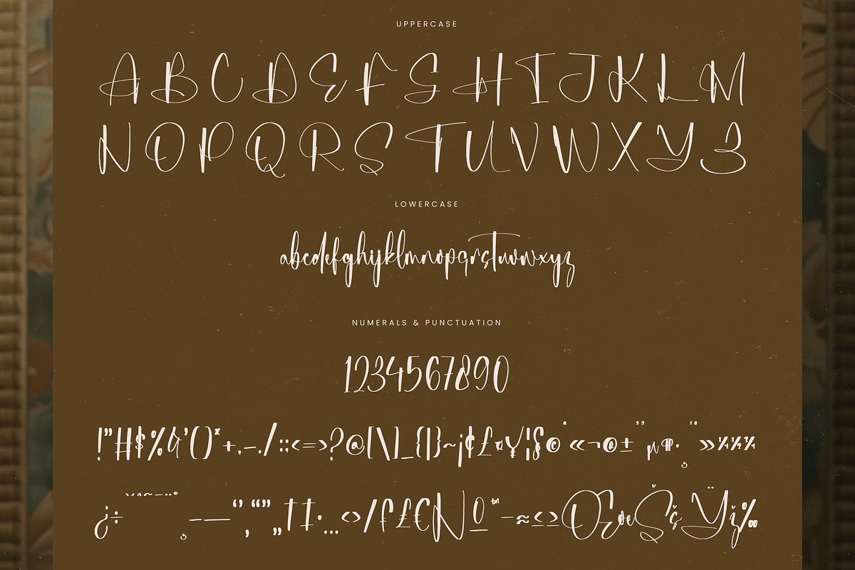 Michelyne Stylish Signature Font, a Script Font by stylishtype.co (Photo 18 of 20)