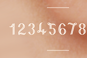 NT Fest, a Font by NovoTypo (Thumbnail 5 of 5)