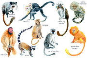 Watercolor Happy Monkeys, an Animal Illustration by Anastasia (Thumbnail 8 of 13)