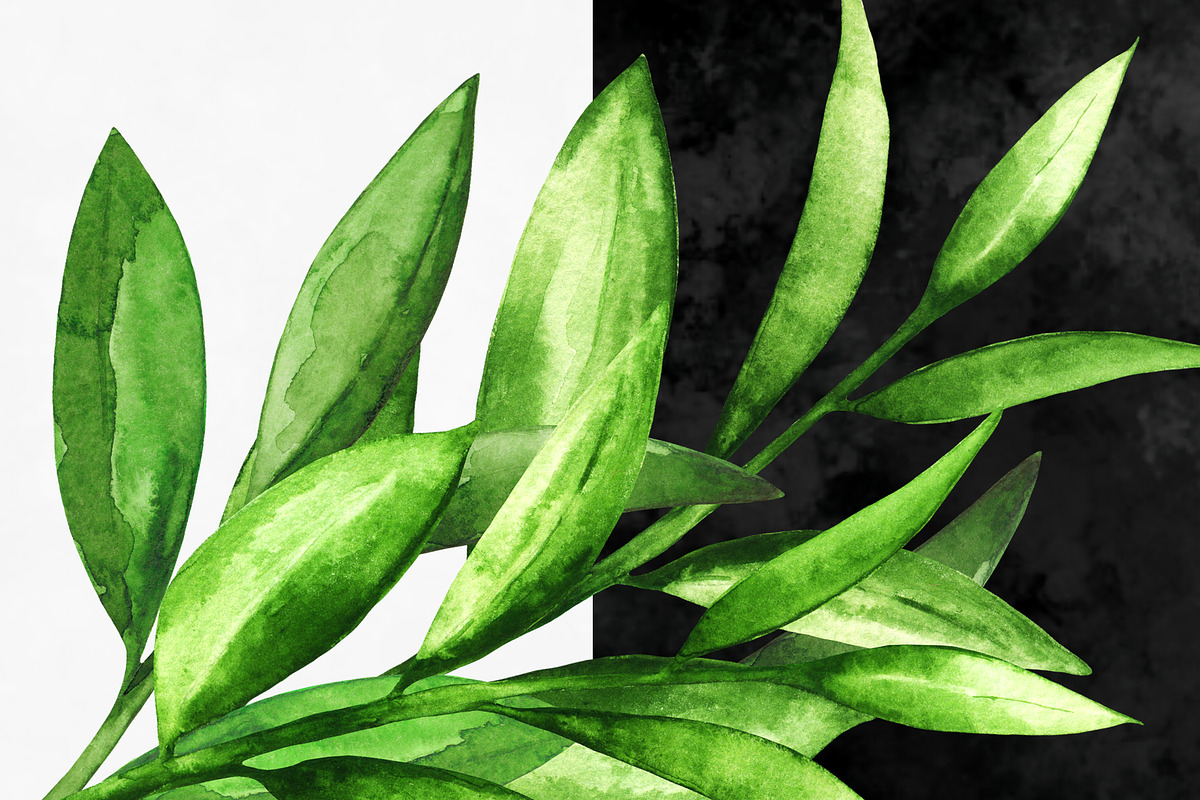 Watercolor Green Leaves, a Healthcare Illustration by Color_Brush (Photo 8 of 8)