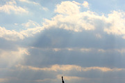 Statue of Liberty - 5 Stock Photos, an Architecture Photo by RIK Photography (Thumbnail 7 of 7)