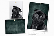 Medieval Tones, a Texture Graphic by rileyBgraphics (Thumbnail 3 of 5)
