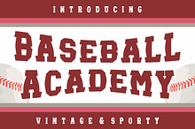 Baseball Academy