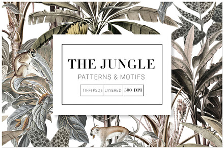 The Jungle, Exquisite Patterns, a Wallpaper Graphic by Pink Linen
