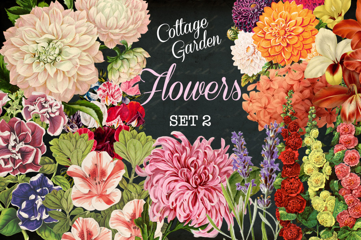 Cottage Garden Flowers Set 2, a Graphic by Digital Vintage (Photo 1 of 2)