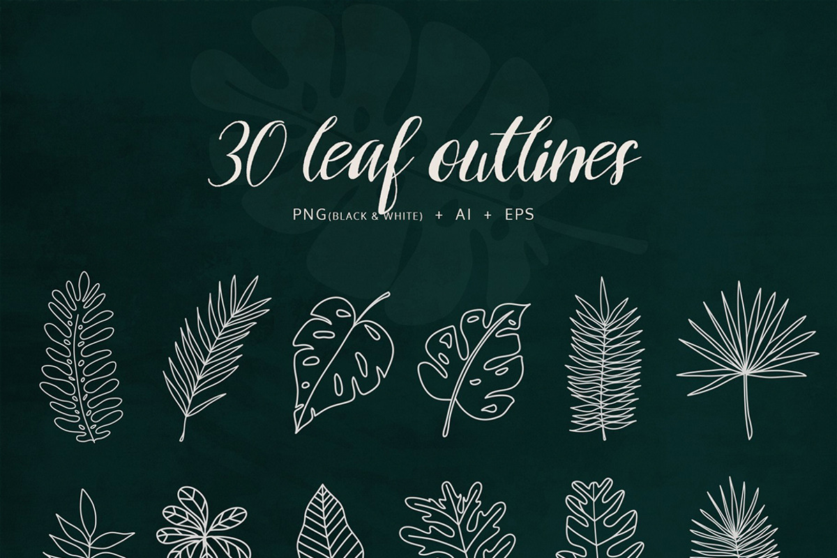 BOTANY BUNDLE - 6in1, a Food Illustration by amber&ink (Photo 14 of 19)