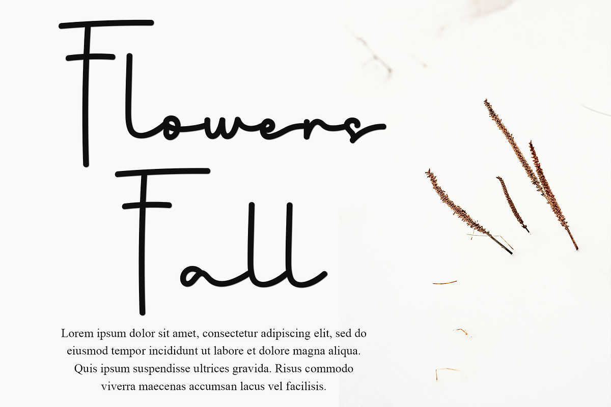 Ladybird, a Handwritten Font by InermediaSTUDIO (Photo 3 of 8)