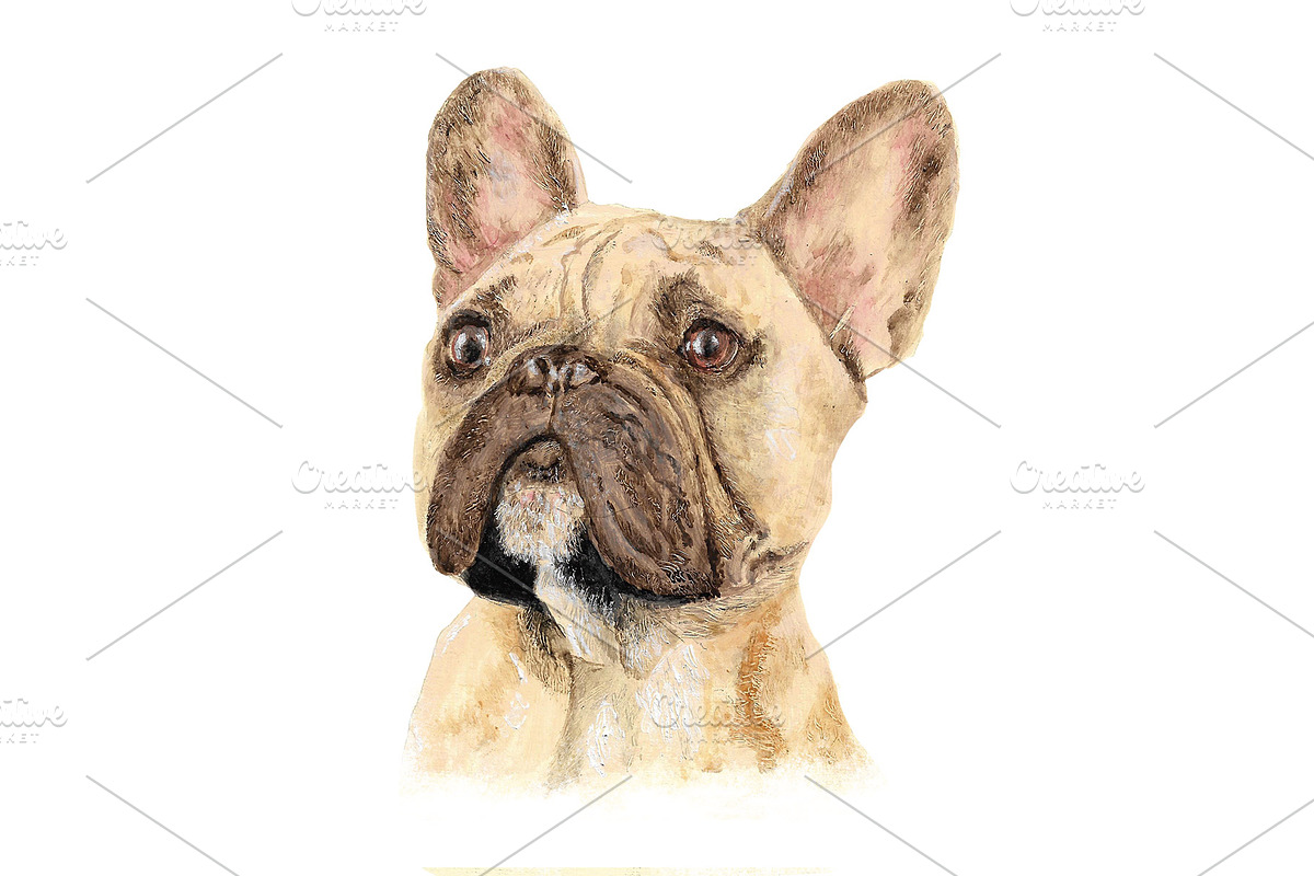 French Bulldog Oil Painting Clipart, an Animal Illustration by Doggy Days