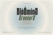 Blooming Greenery Typeface, a Sans Serif Font by Aditastudios (Thumbnail 1 of 10)