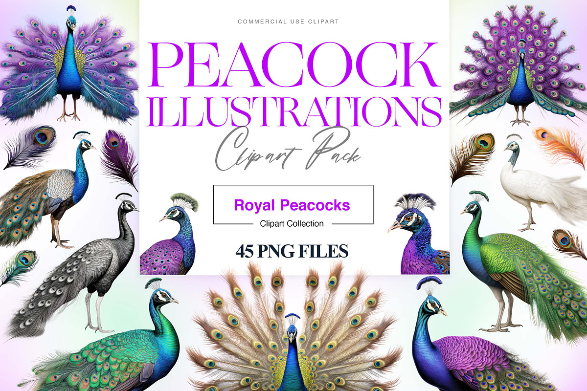 Peacock Clipart, Peacock Feather PNG, an Animal Illustration by BrushstrokeArtGB (Photo 1 of 9)