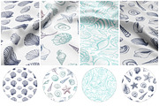 Sea Shells Collection, a Food Illustration by Aquatinta (Thumbnail 6 of 9)