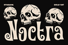 Noctra Display Font