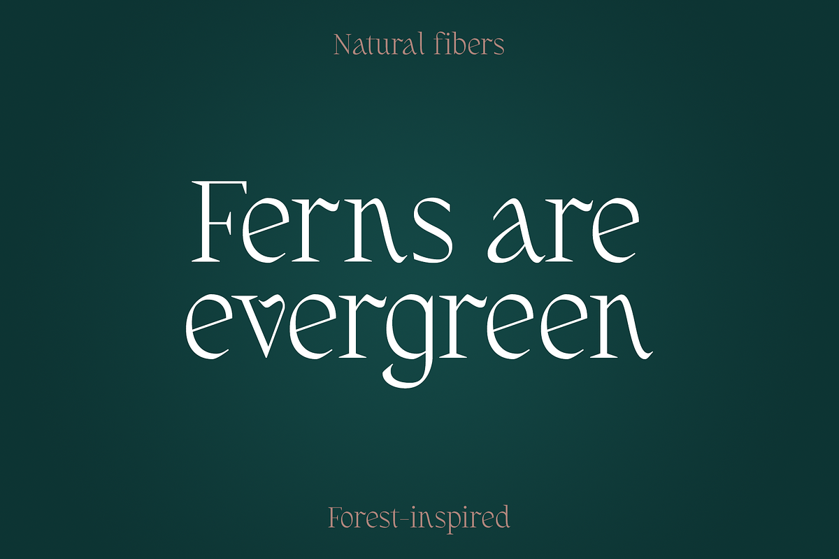Fernhead Decorative Serif Font, a Serif Font by Headfonts (Photo 6 of 11)