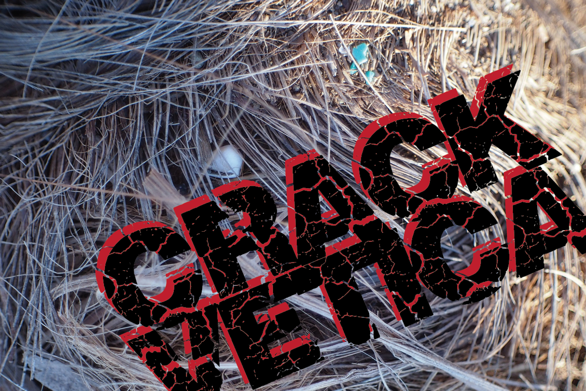 Crackvetica preview 4