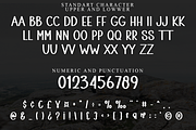 Winter Stacked, a Sans Serif Font by FreshTypeINK (Thumbnail 6 of 8)