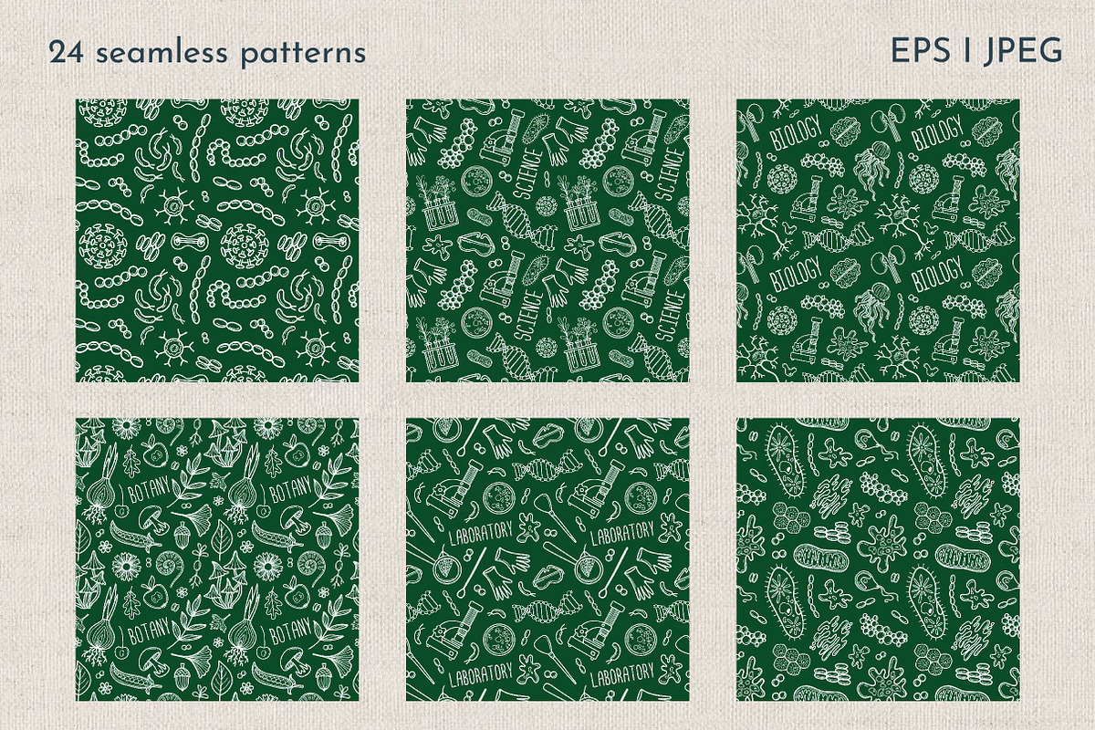 Hand Drawn Doodle Biology Clipart, an Object Graphic by KathrineWatercolor (Photo 6 of 10)