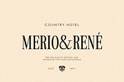 Mallone | 12 Fonts, a Serif Font by Skinny Type (Thumbnail 2 of 10)
