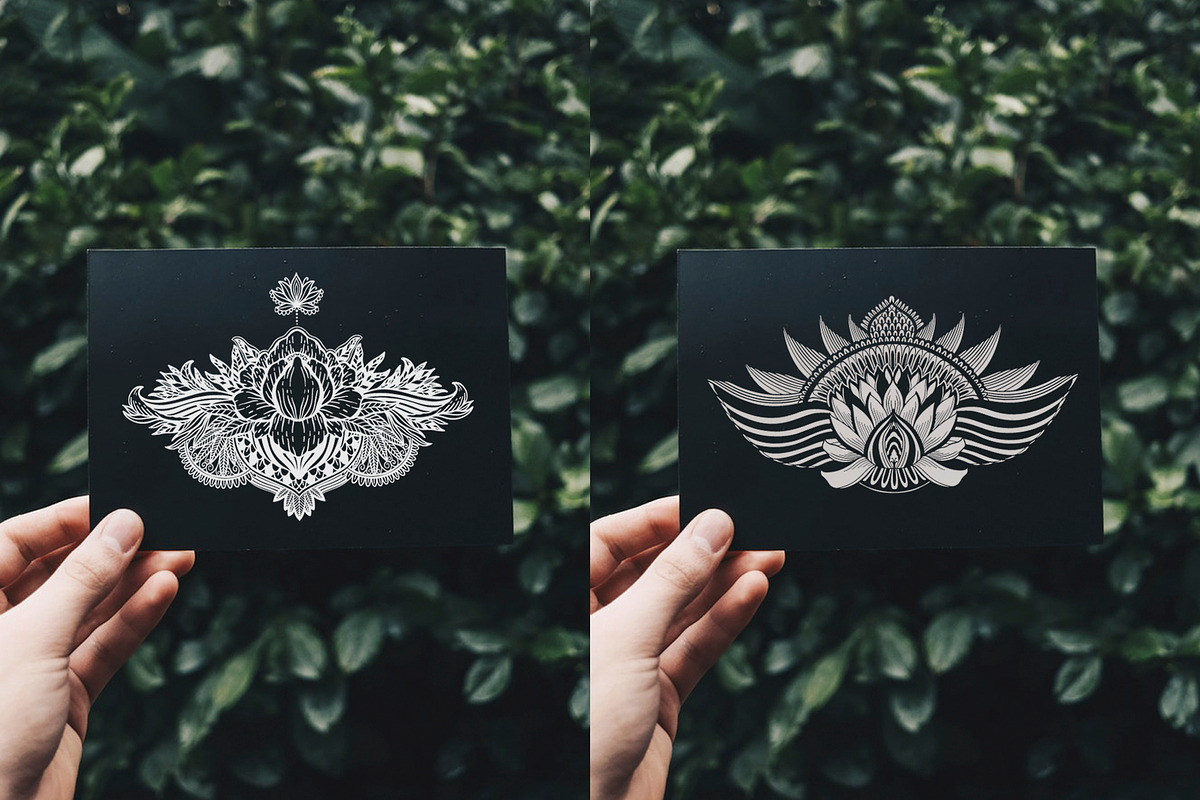 East lotus. Graphic set, a Decorative Illustration by Moonflora (Photo 4 of 4)