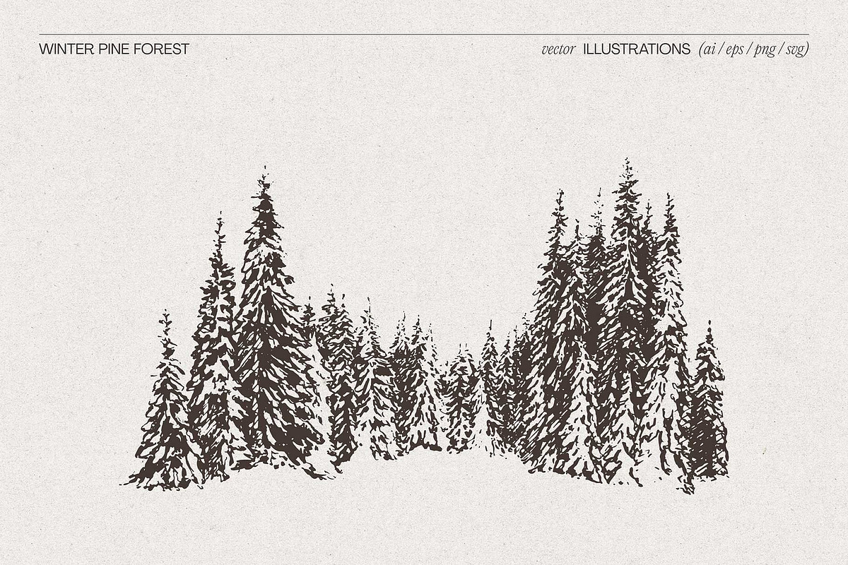Snow-Covered Winter Pine Forest, a Seasonal Illustration by TheMountBirdStudio (Photo 5 of 5)