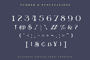 Guacheva, a Serif Font by ilhamtaro (Thumbnail 9 of 10)