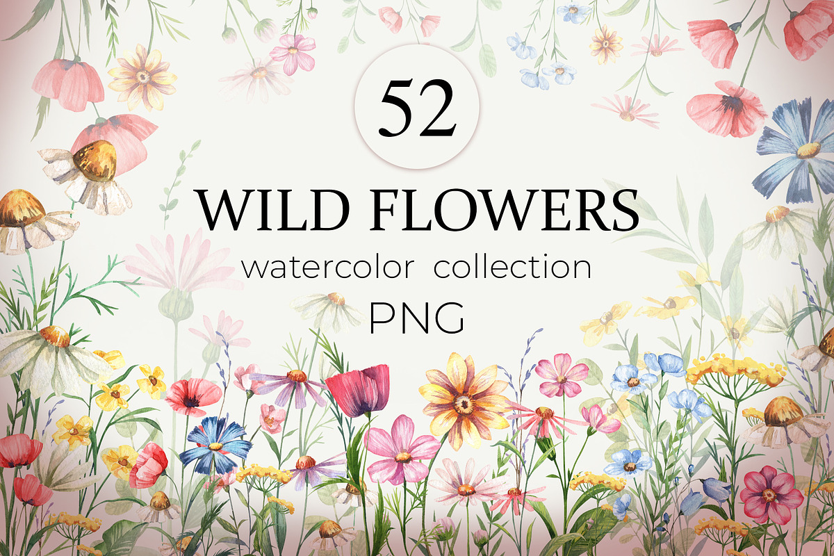 Wild flowers watercolor collection, a Decorative Illustration by Dashamoony (Photo 1 of 3)