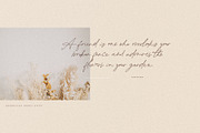 Bourdeilles France Script Font, a Script Font by Creativeqube Design (Thumbnail 9 of 16)
