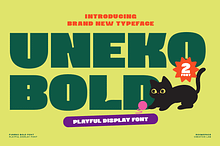 Uneko Bold – A Playful Chunky
