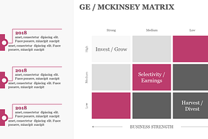 GE / MCKINSEY MATRIX PowerPoint