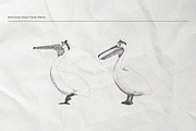 The Seagulls and  Their Sea Friends, an Animal Illustration by Kurakoza (Thumbnail 3 of 18)