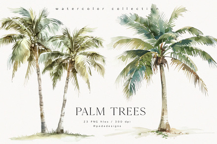 Palm Trees, a Decorative Illustration by PeDe Designs