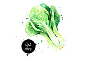 Watercolor Superfood Vector Set, a Food Illustration by Elena Pimonova (Thumbnail 4 of 5)