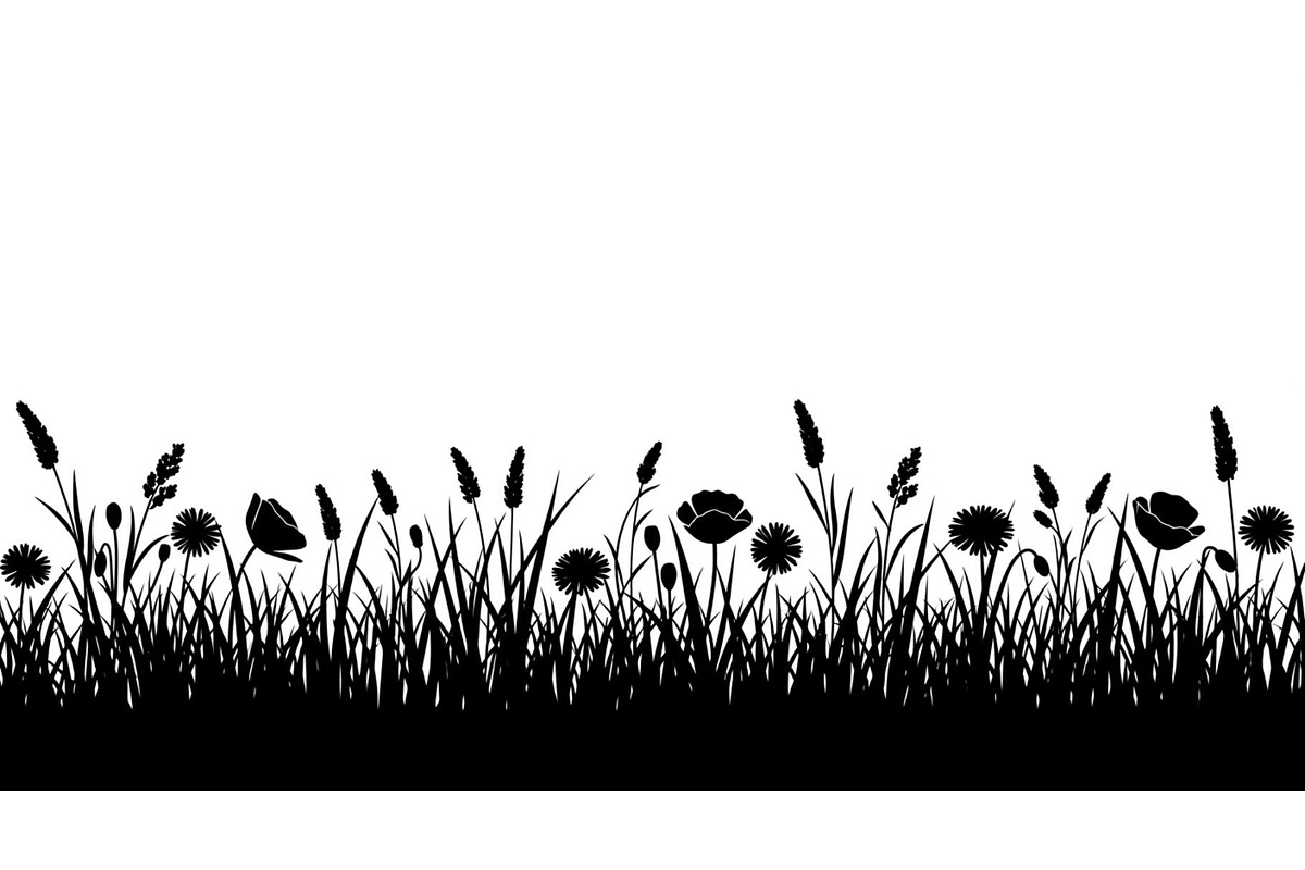 Floral Grass Border Silhouette Bundl, an Illustration by Amazin_art (Photo 36 of 51)