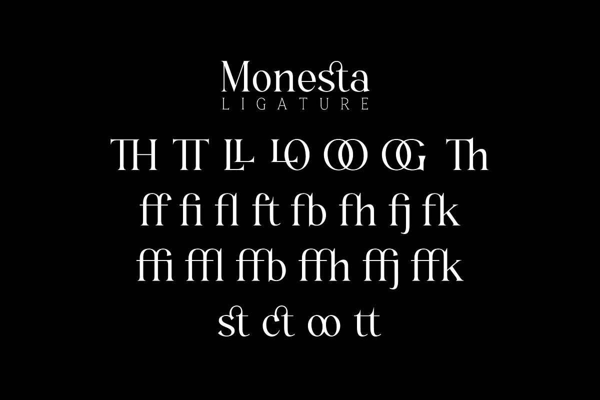Monesta Regular, a Serif Font by ShowUp! Studio (Photo 14 of 16)