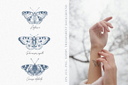 Wings in Ink. Vector Butterflies, an Object Graphic by PenguinArtStudio (Thumbnail 4 of 6)