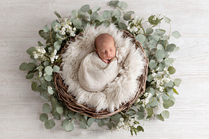 Newborn Nest Digital Backdrop